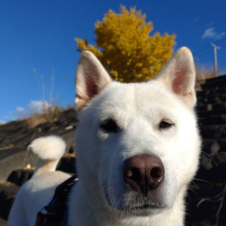 C9978283 d36b 4040 8a5f 9e0a99eb0a28 1667796500283