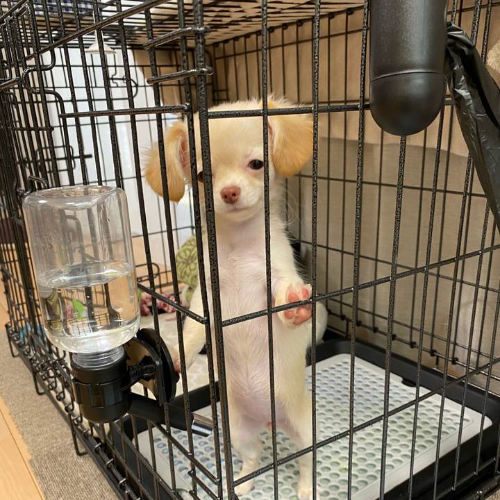 C997cd5a 4cad 44e7 94f8 f5c652be03f0 1619674565272