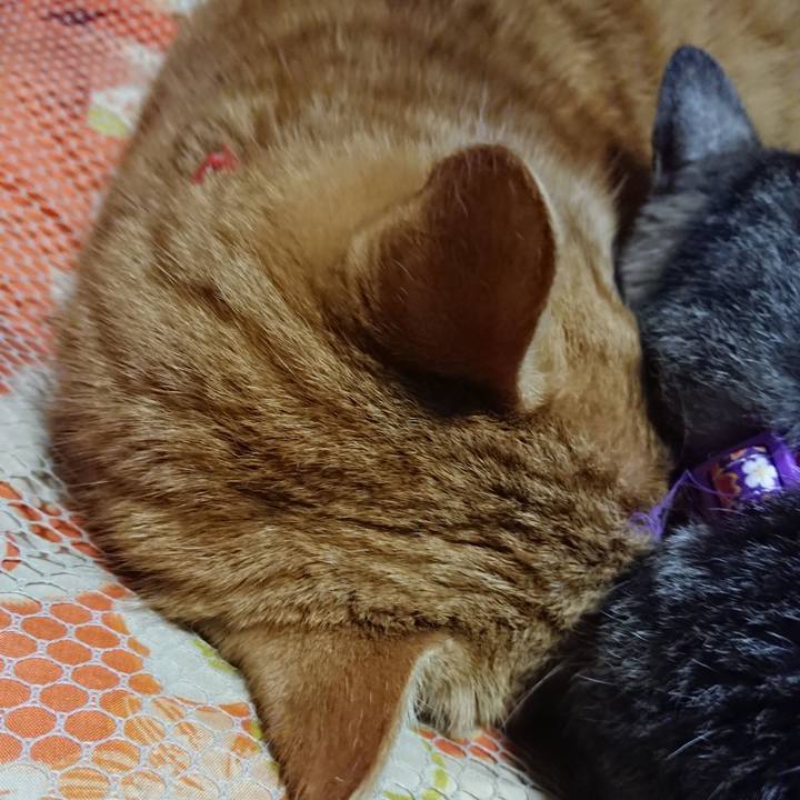 C997f707 2258 4f9f 8d3a 248abbce77c2 1578227368802