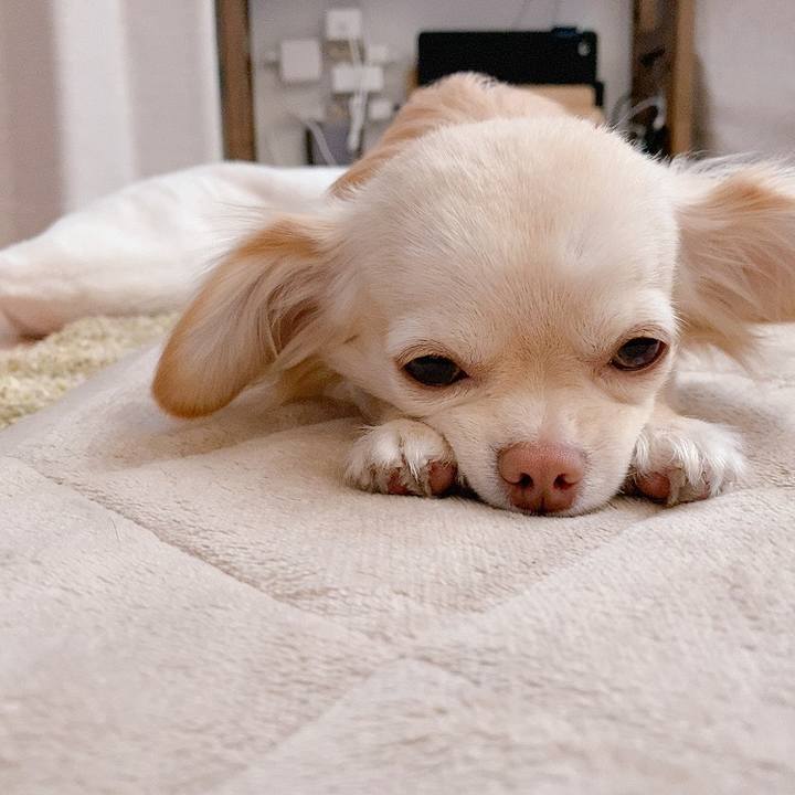 C997fa17 5da4 4505 ba5e 858dc09a62ff 1619184987280