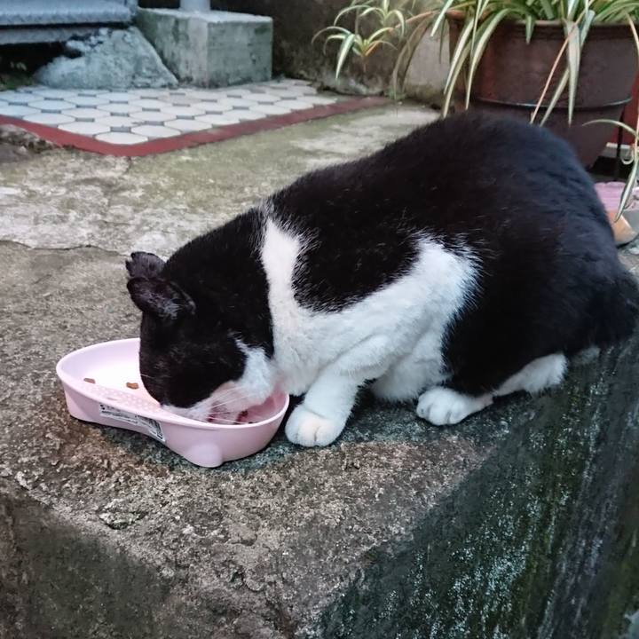 C9983edb c66b 4975 944a 63041f4998a4 1696064294715