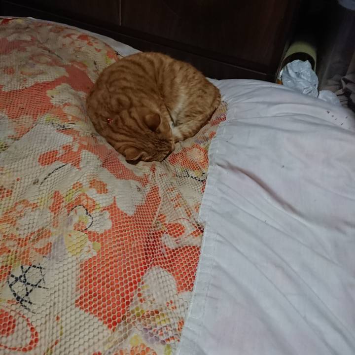 C9985b3a f16a 4571 8182 8a2827055ebb 1577187174139