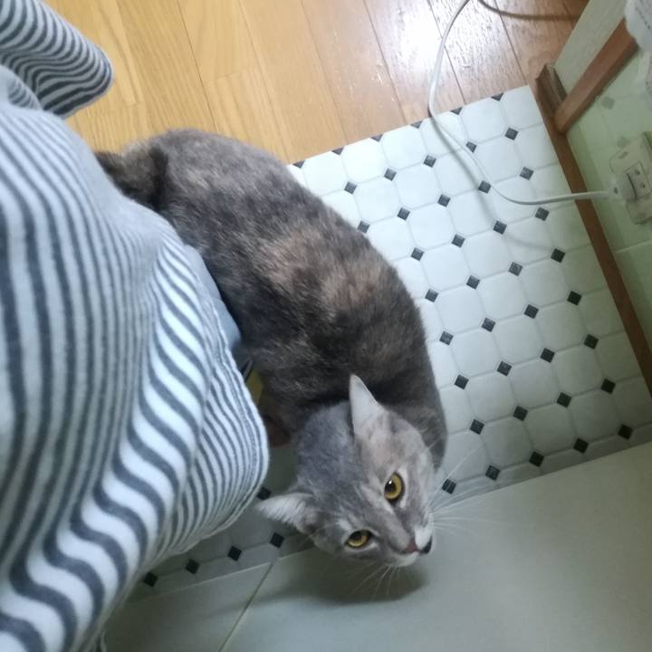 C9987cc8 9654 422d a9d4 e96ee4c9a9de 1509235360692