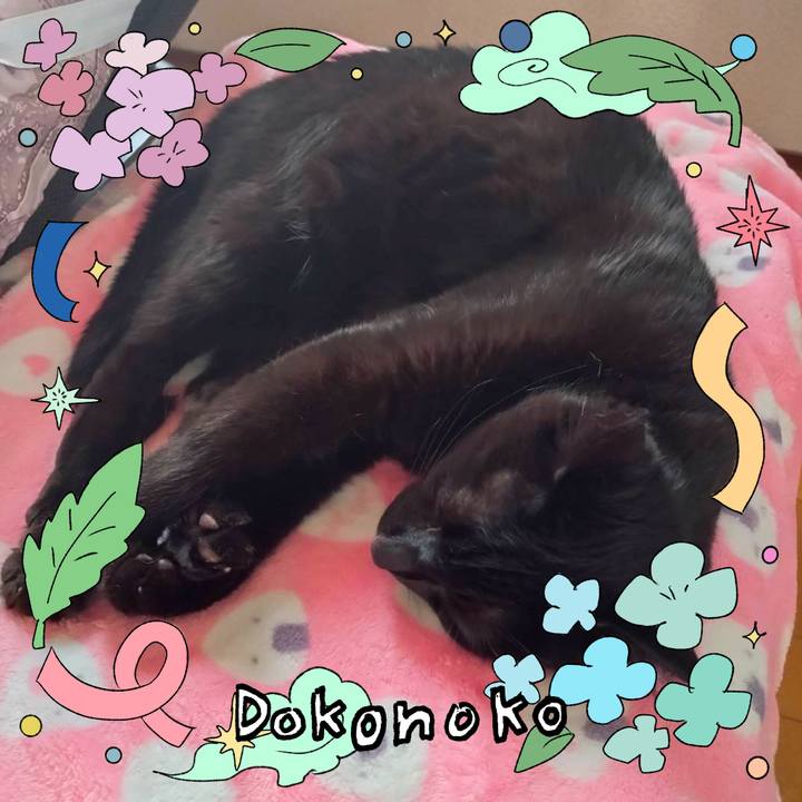 C9987fe5 1edf 46e2 8012 e49a3a625b3b 1718099697264