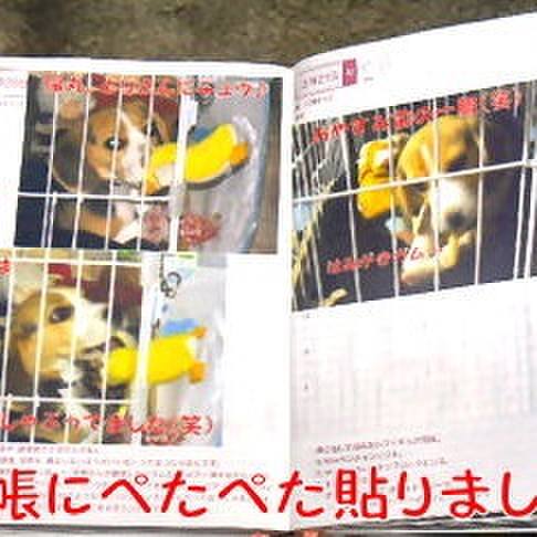 C998dc74 296d 4021 a73d 5501b9fefd15 1686862229755