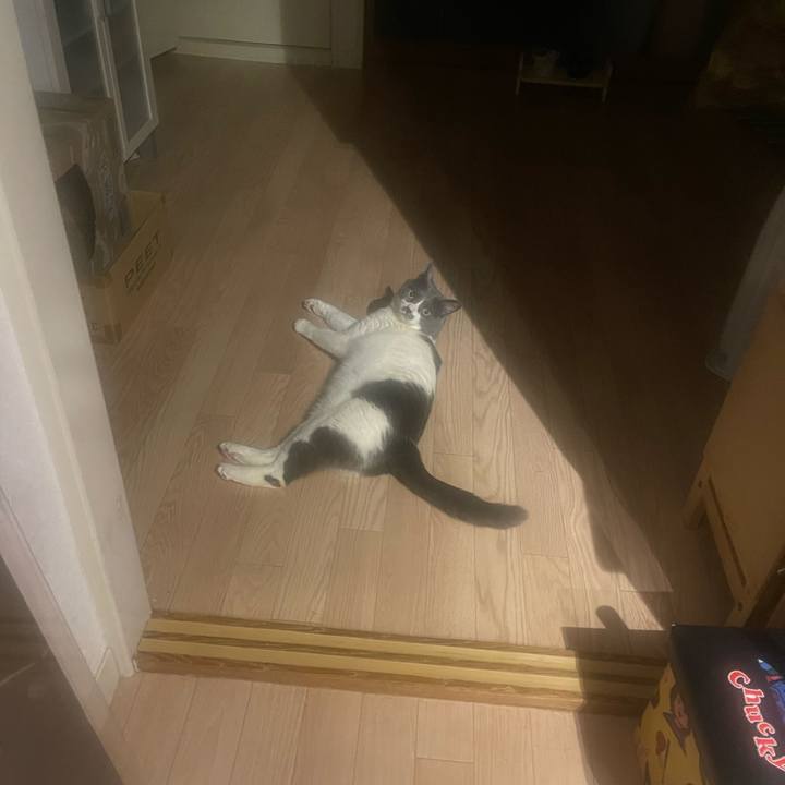 C9993e5e 023d 480c 8dd7 fce50fb323aa 1745074897774