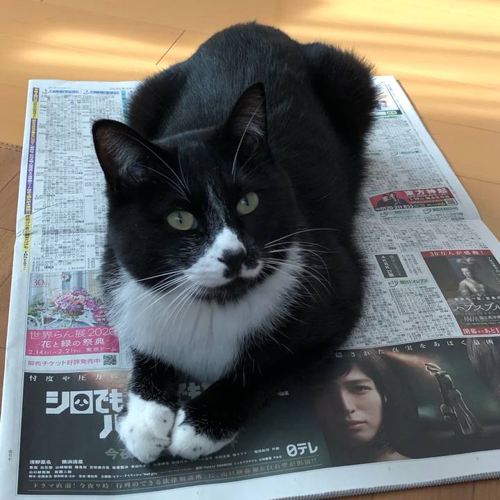 C9993f44 9cf5 402a bcf7 e2fffd25e0e3 1580096275100