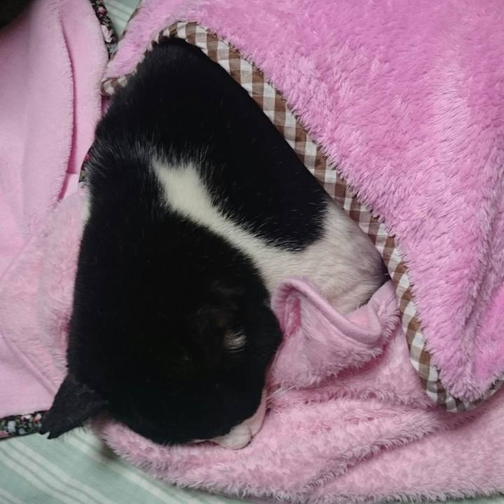 C9994f09 06b7 4efc abe9 87add6ad8c6a 1510667791609