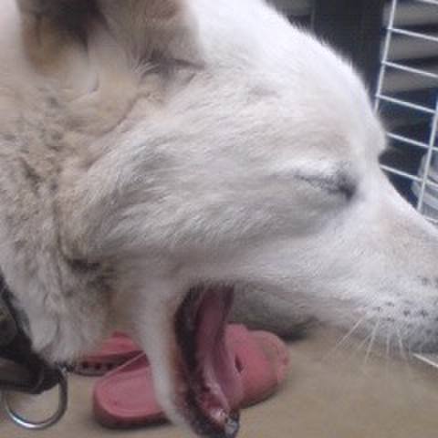 C9997338 0059 45ce 8a22 acf316c235a2 1512305268929