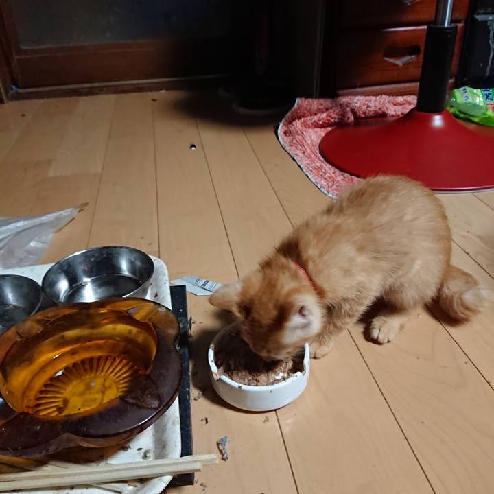 C99975da 37f9 49b4 8a46 734484585e40 1629666010649