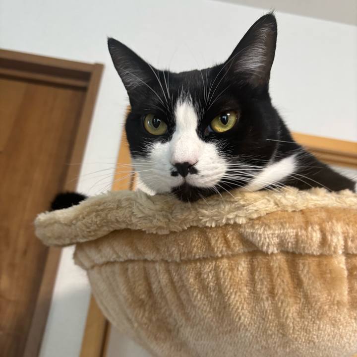 C99987fe 7e7a 4076 a22c 4e51e4cf6e38 1766544511702