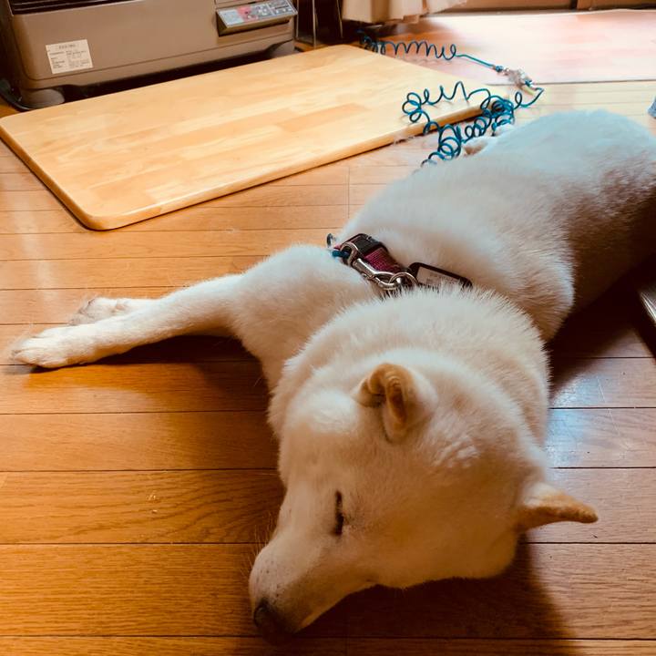 C9999318 32ae 4929 a58c 49a1eb9b4f1d 1603490563324