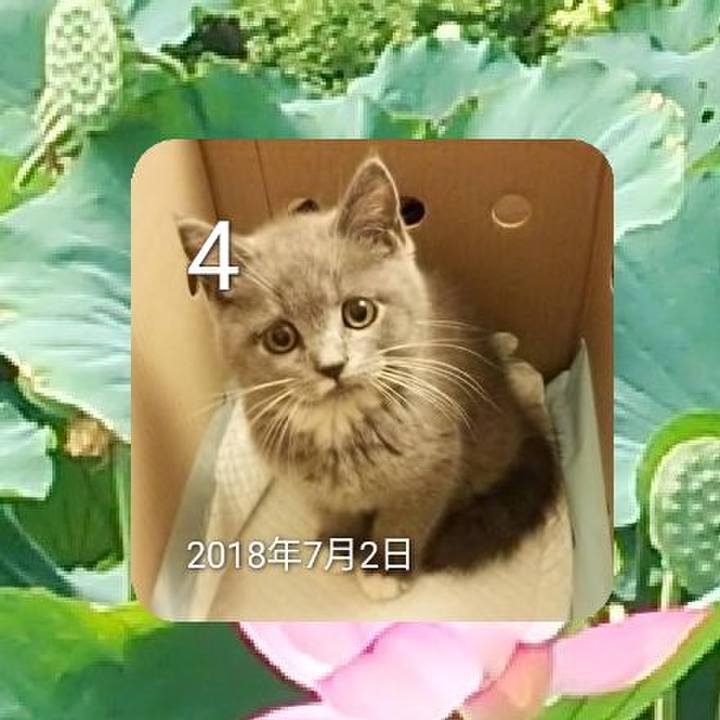 C999c74c 35ab 4ac5 a928 6349bef01723 1656880972190