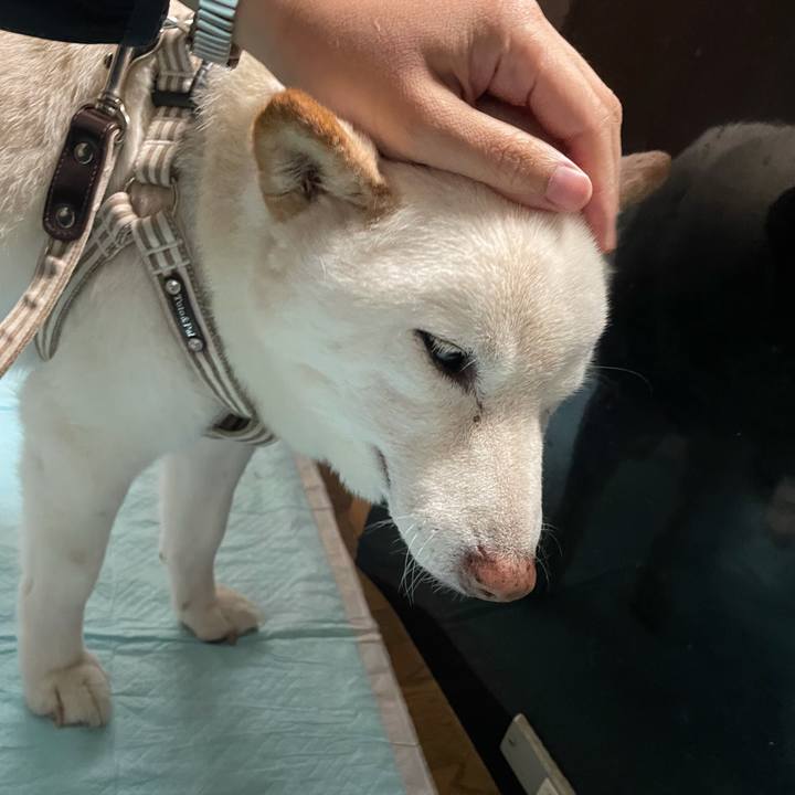 C99a0faf aa12 4e42 885a 40529f3fb062 1635693715853