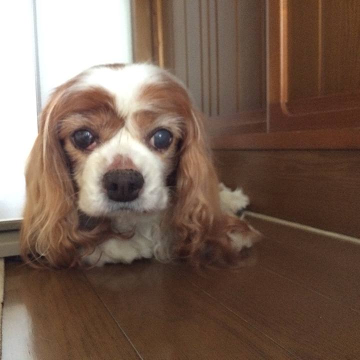 C99a1607 54ca 4d2d 9512 5fffa954842b 1512171111830