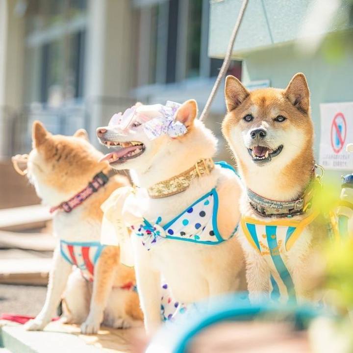 C99a36cf 31f3 487c af2b 621728f73a4d 1724637842692