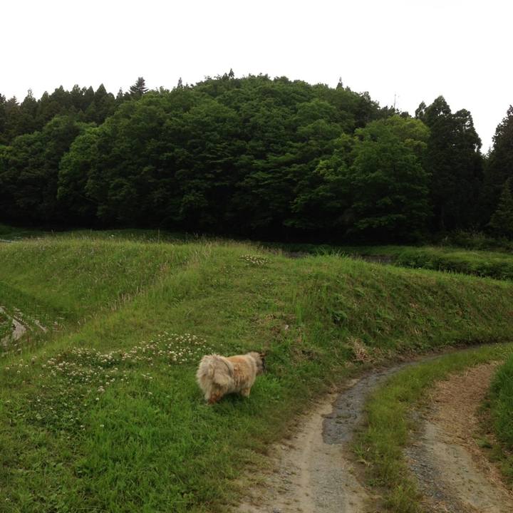 C99a4d69 96f6 4a57 8b47 ac93819a7c71 1622182247269