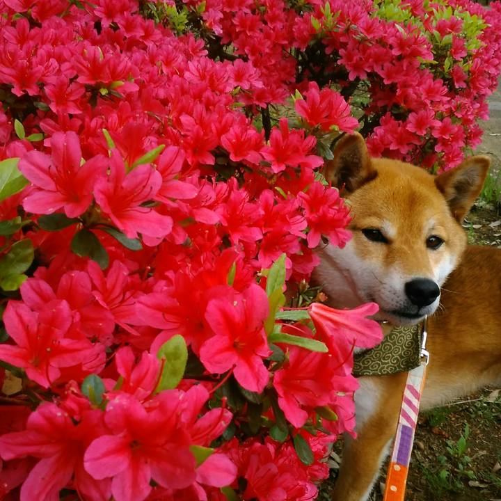 C99a6ac7 2805 4480 aeda 9e540139ac61 1524530972398