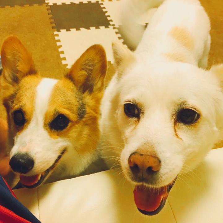 C99a8596 d86e 4922 ac1e 172bf66c5c98 1527405944825