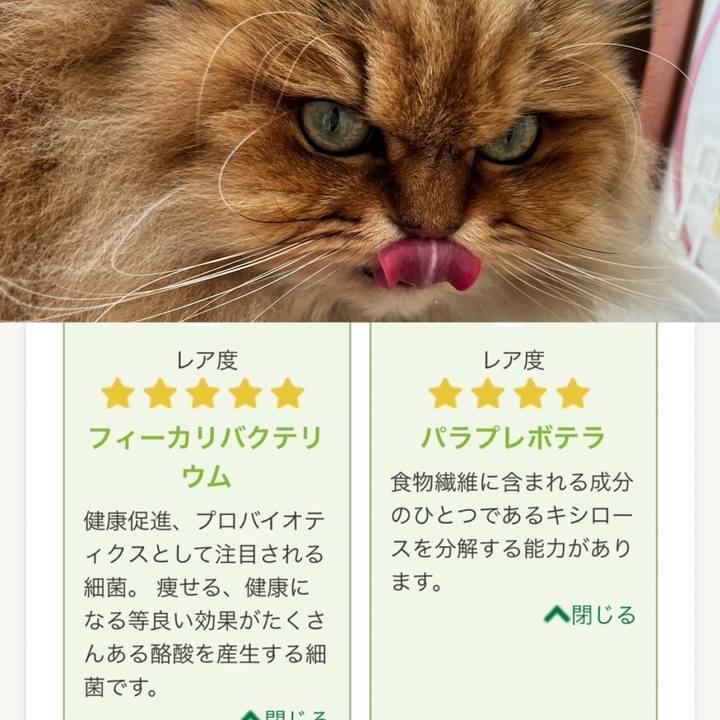 C99ac1d8 9eec 478e af0f 1f4cb7668006 1714301393909