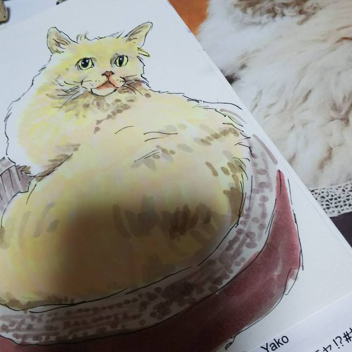 C99adee8 a101 4340 b0b7 113a2a63a0a5 1538822609660