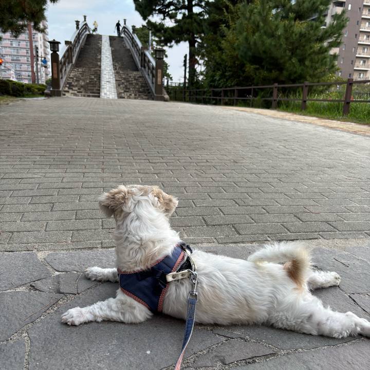 C99b050a 8d92 44ae acfd 15221987b0a6 1760305194317