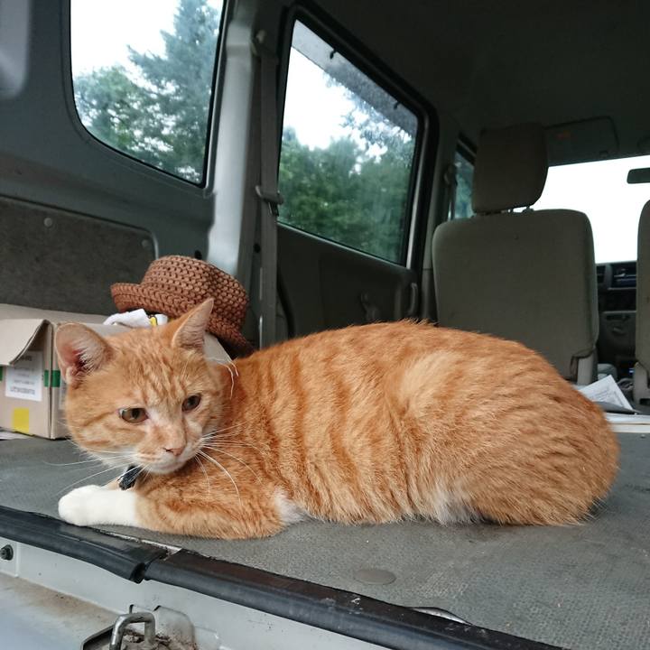 C99b207f 7b36 44de 9ca9 3ecc36327e76 1567544056834