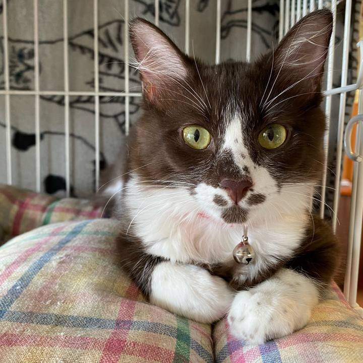 C99b279e 89ee 4997 bd95 5d724d4c06de 1692447175350