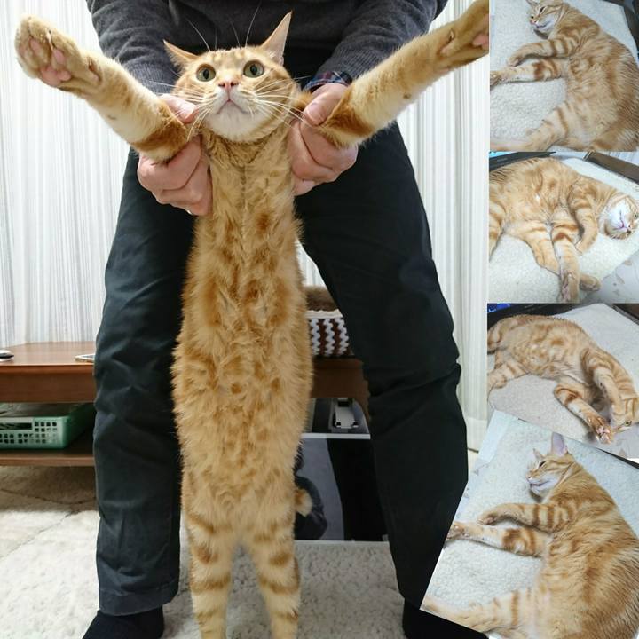 C99b2eb8 da44 4094 a94f 71184aab697c 1553349223883