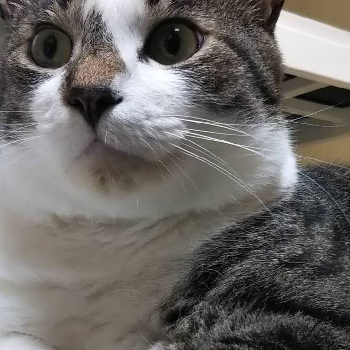 C99b360d 6111 4084 b38b fd77c9bc6f74 1615427712922