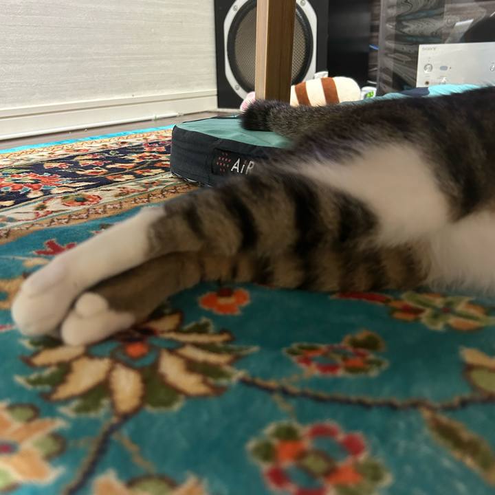 C99b40fc a64c 4818 a24b 6d5ae309c6e7 1757846387489