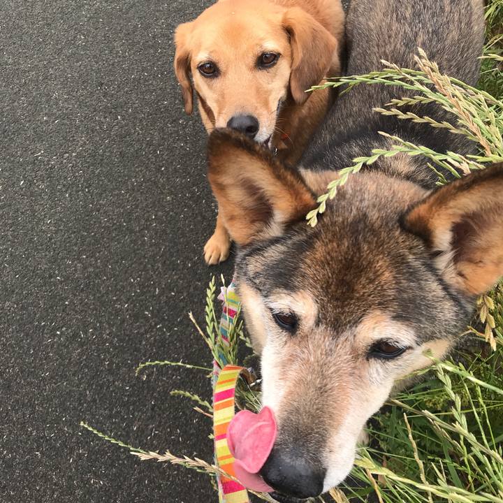 C99b509f 6fed 41cd a15c a6539a339a87 1559469618638