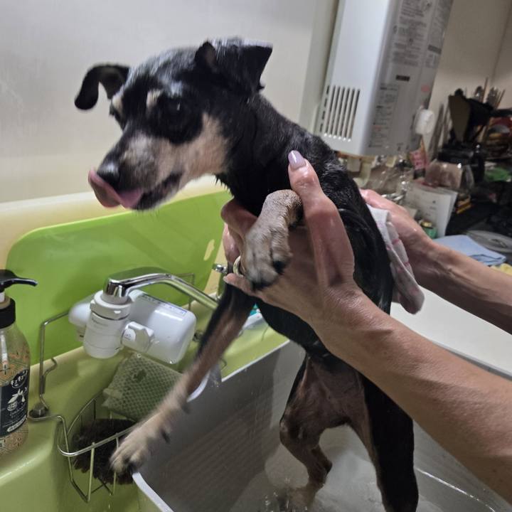 C99b524c 06d2 4f06 bfb5 bec0fd799121 1768701484735