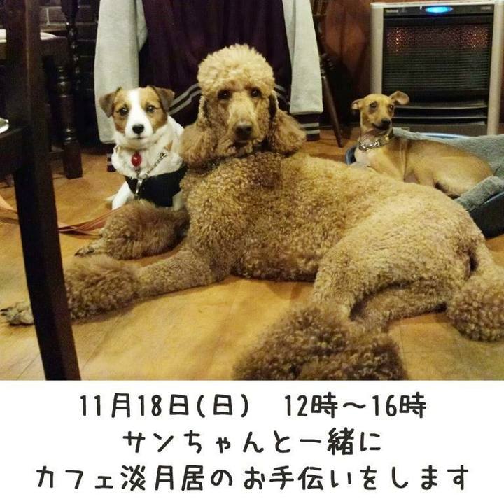 C99b6a7b b4c8 43a0 92f3 ce1fd804e933 1542150025782