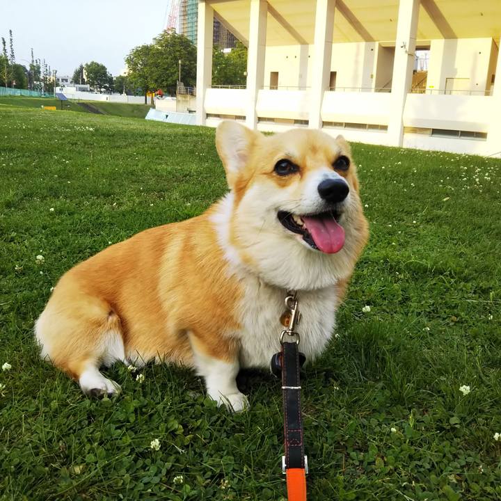 C99b8b2d 2a12 4f1a 9d4c 1dc982f9401e 1527500621657