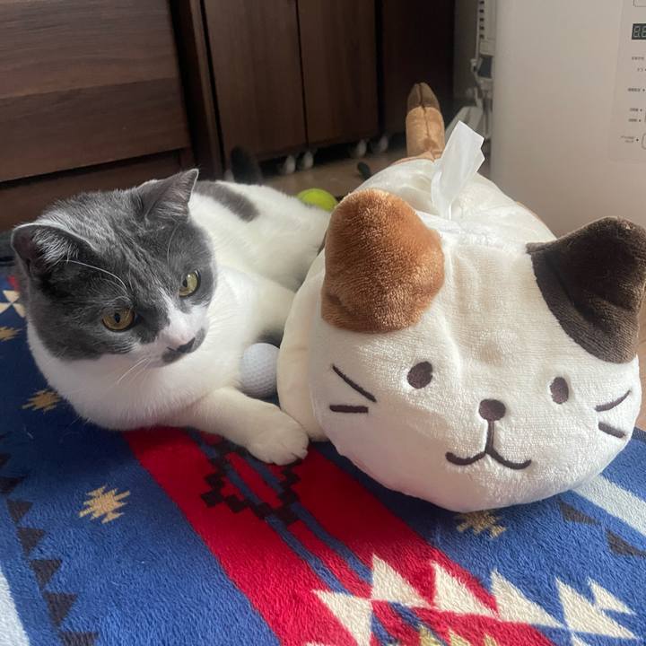 C99b9b30 58ee 40db 8d02 0054468c7982 1651991887028