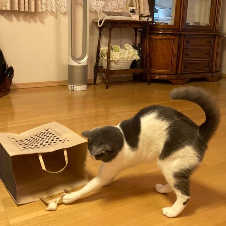 C99ba5b7 e3c5 4da6 b178 acce5895aac9 1626174948425