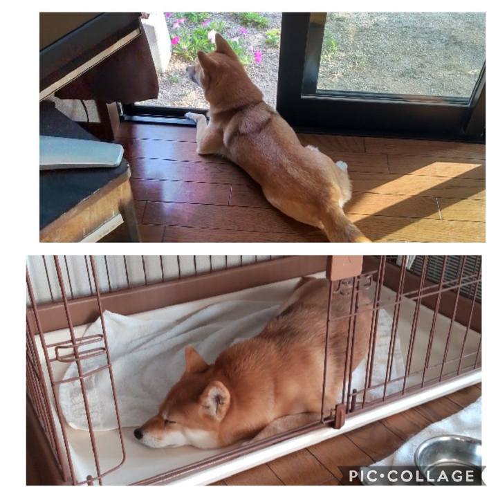 C99bad91 b0ff 48e7 a3d4 d614fb0d5625 1667801897224