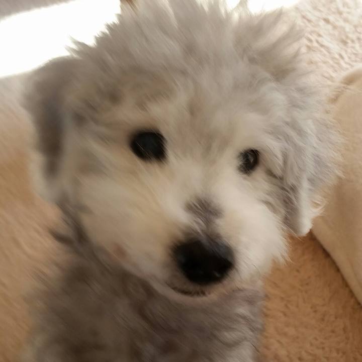 C99bcaa6 77f0 4653 84e1 dd6ec5ae6bc2 1619171961771