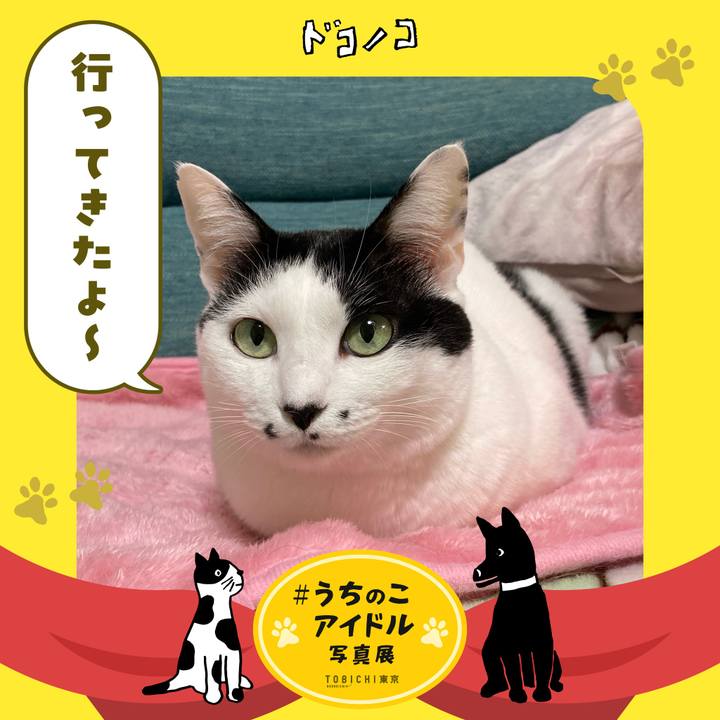 C99c09ed 0e32 4d47 84af 392eedf8268c 1761134225353