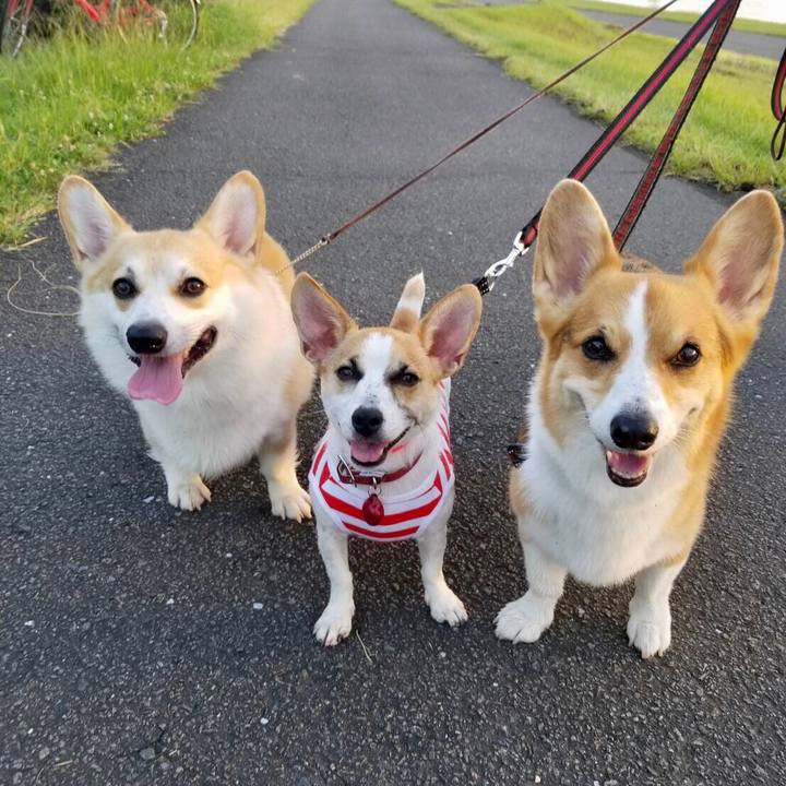 C99c1591 7e52 4a25 867f 9c4cdfb4ba78 1564440503301