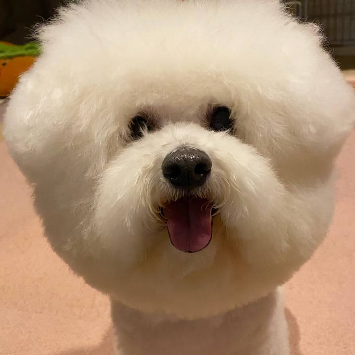 C99c3ff0 ff39 4881 a44f d33b99d6c465 1737457524937