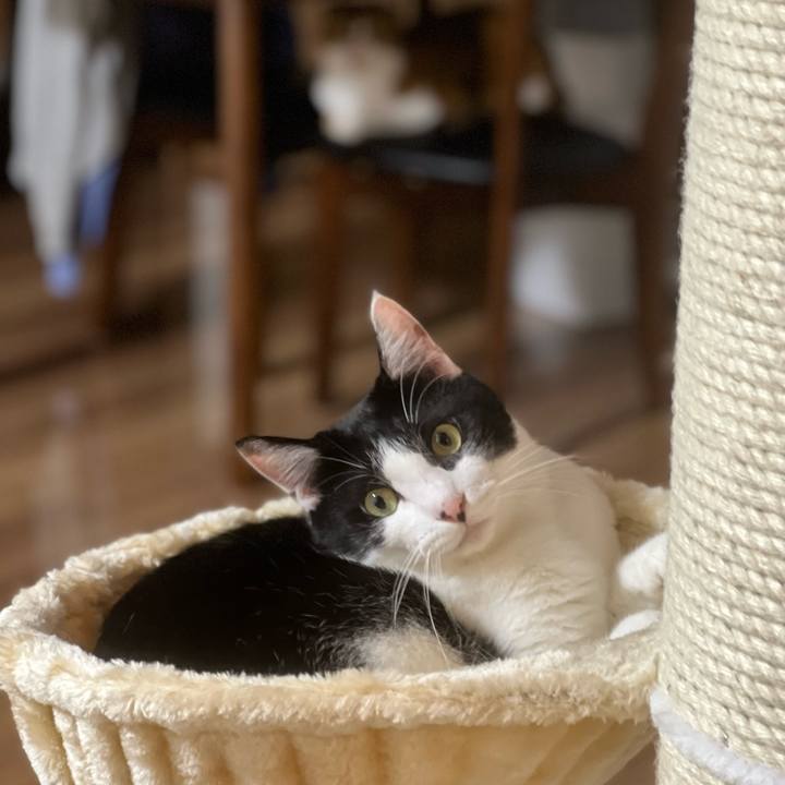 C99c42ef 831d 48ea 80cc a2067760c57d 1660918550630