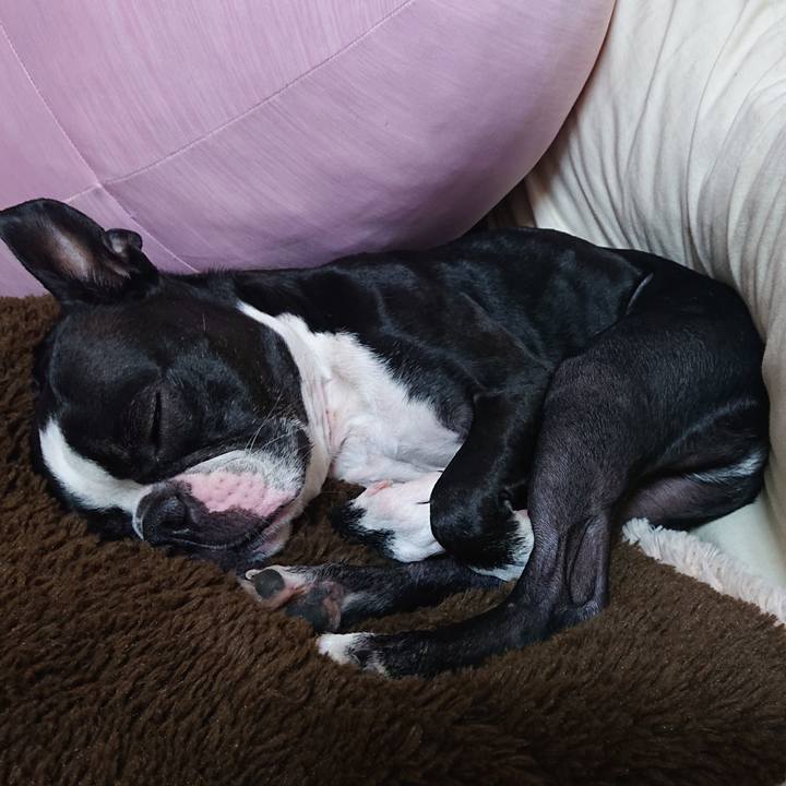 C99c58af cab4 4bcd bf95 5094a7ef9b24 1634542181940