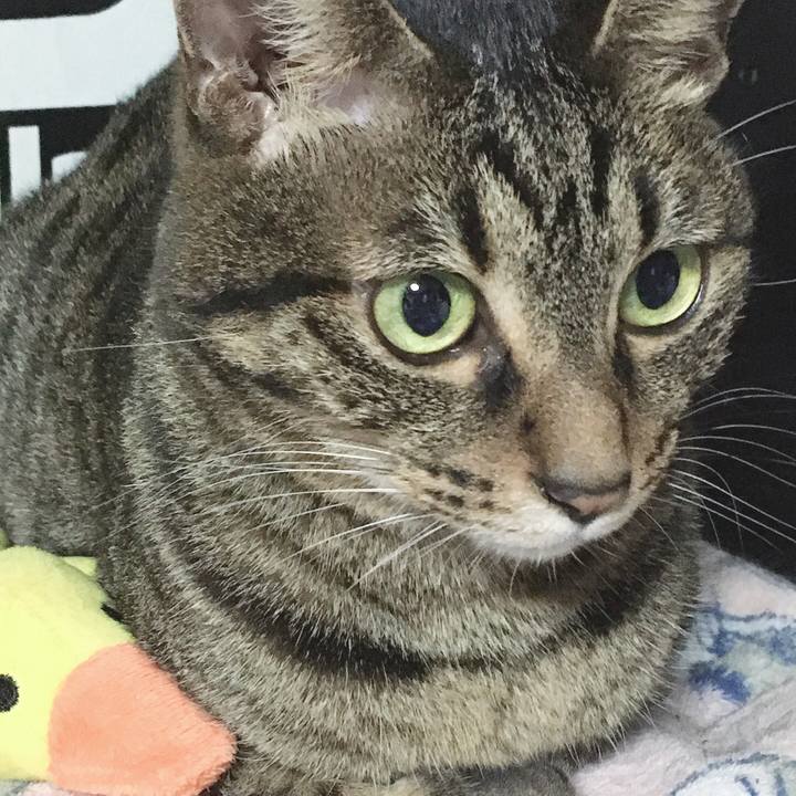 C99c88b2 e23c 4da1 93b7 a225d212e8d8 1570884754184