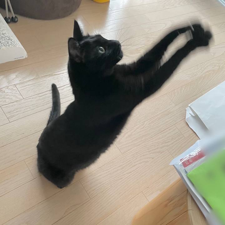 C99d24d0 e86a 48bb 92a0 de68edc8973b 1672493549346