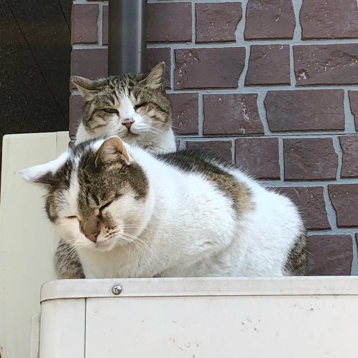 C99d3734 1212 45e9 8894 04ac6f5d4fb7 1518624385578