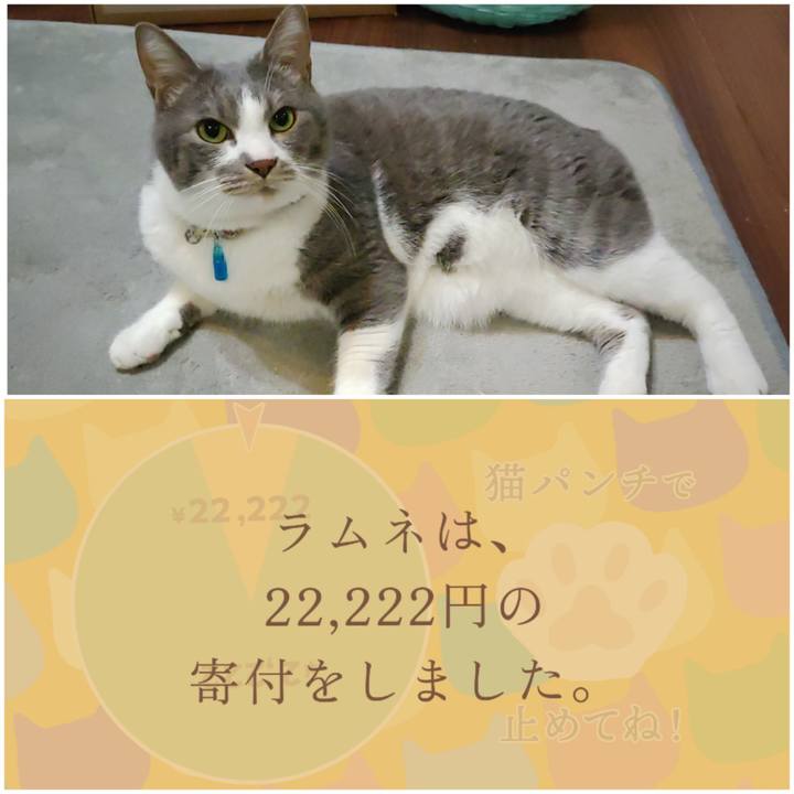 C99d4bc9 d749 44c0 a91c 70f155f46645 1708593546123