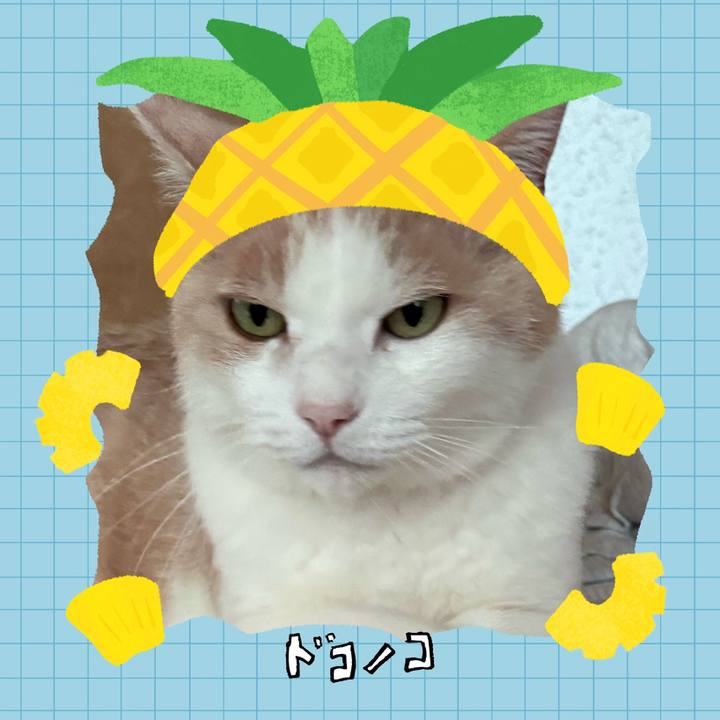C99d58ae 31ae 46ba a764 5715015adc8b 1783653713495