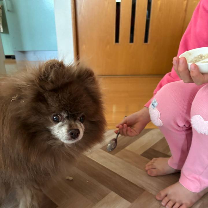 C99d9bfb 671d 44e1 97b0 7f2ea80280d5 1747693823125